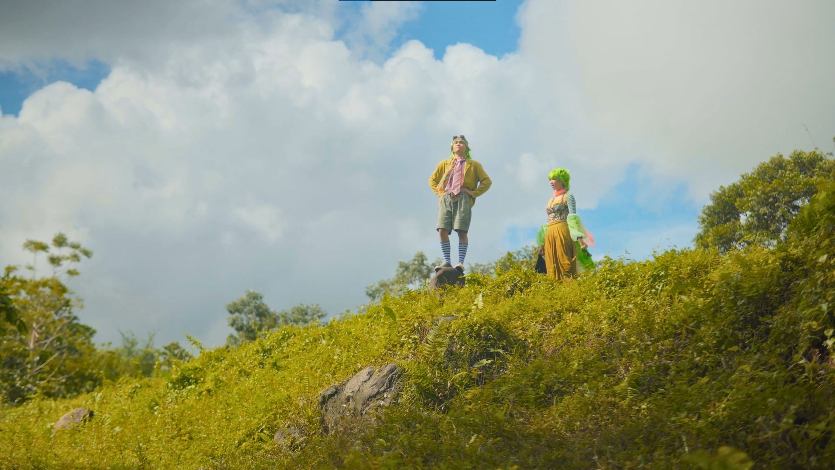 Backdrop for Praying Mantis