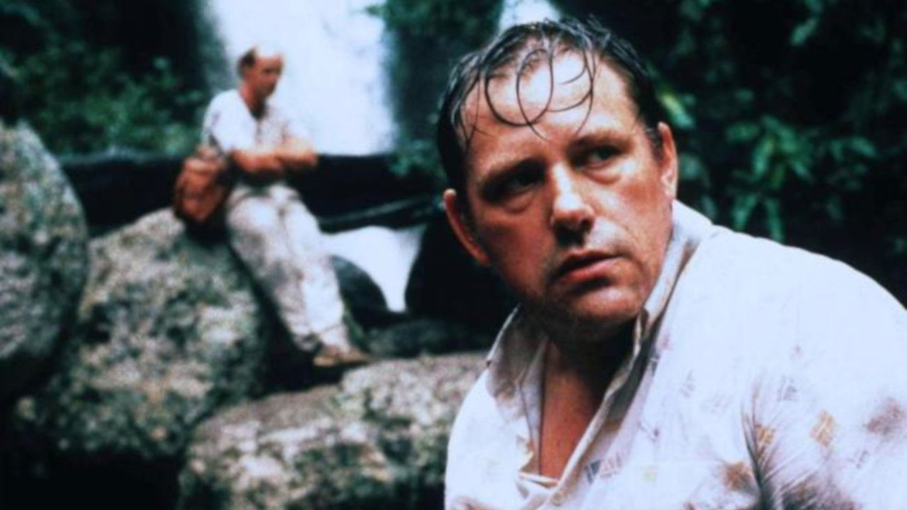 Backdrop for Sturzflug