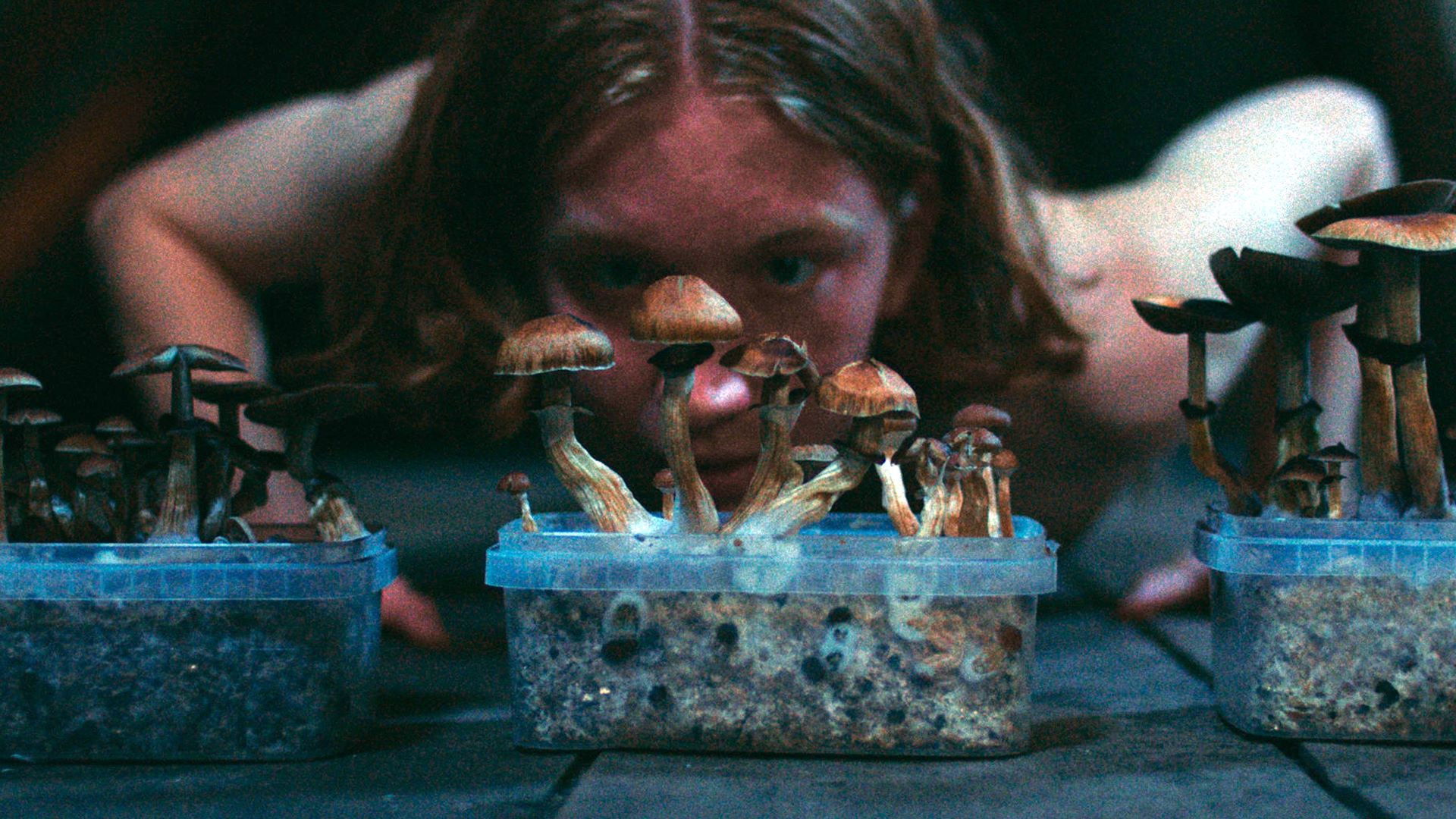 Backdrop for The Great Glitch / Children of Paradise