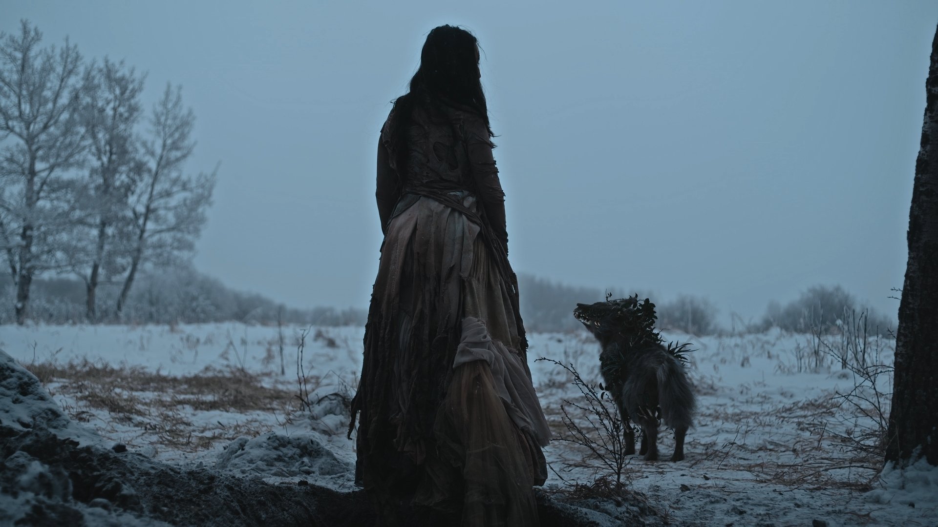 Backdrop for Naualli