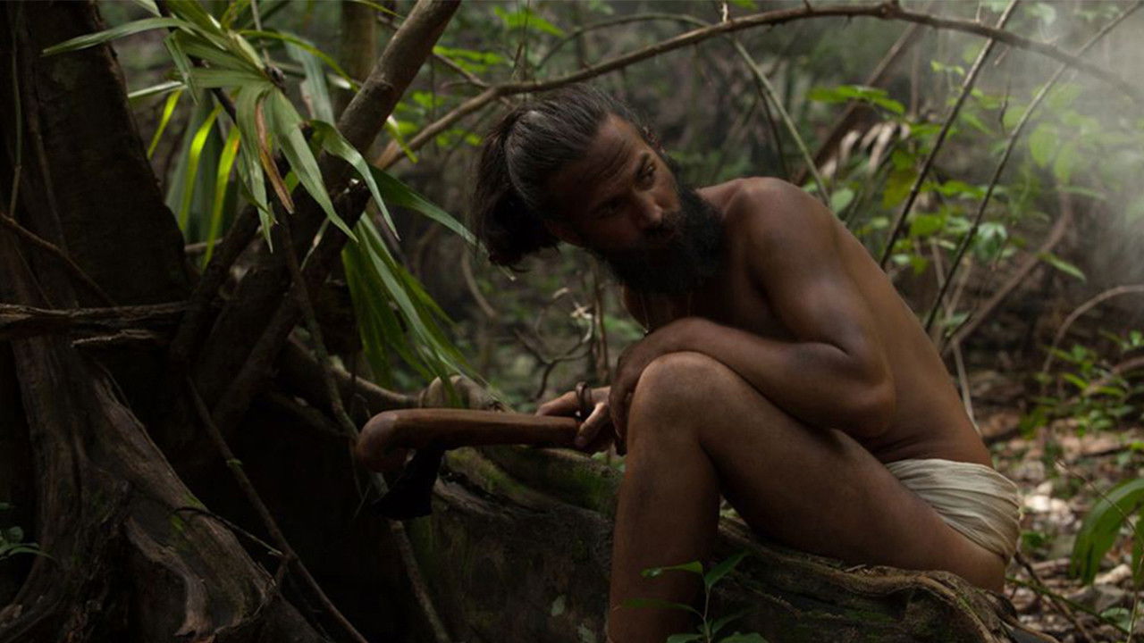 Backdrop for Entre dos mundos: La historia de Gonzalo Guerrero