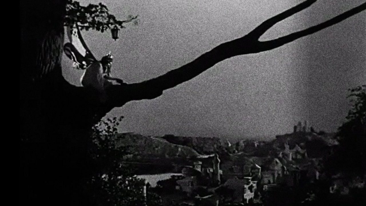 Backdrop for Enchantment