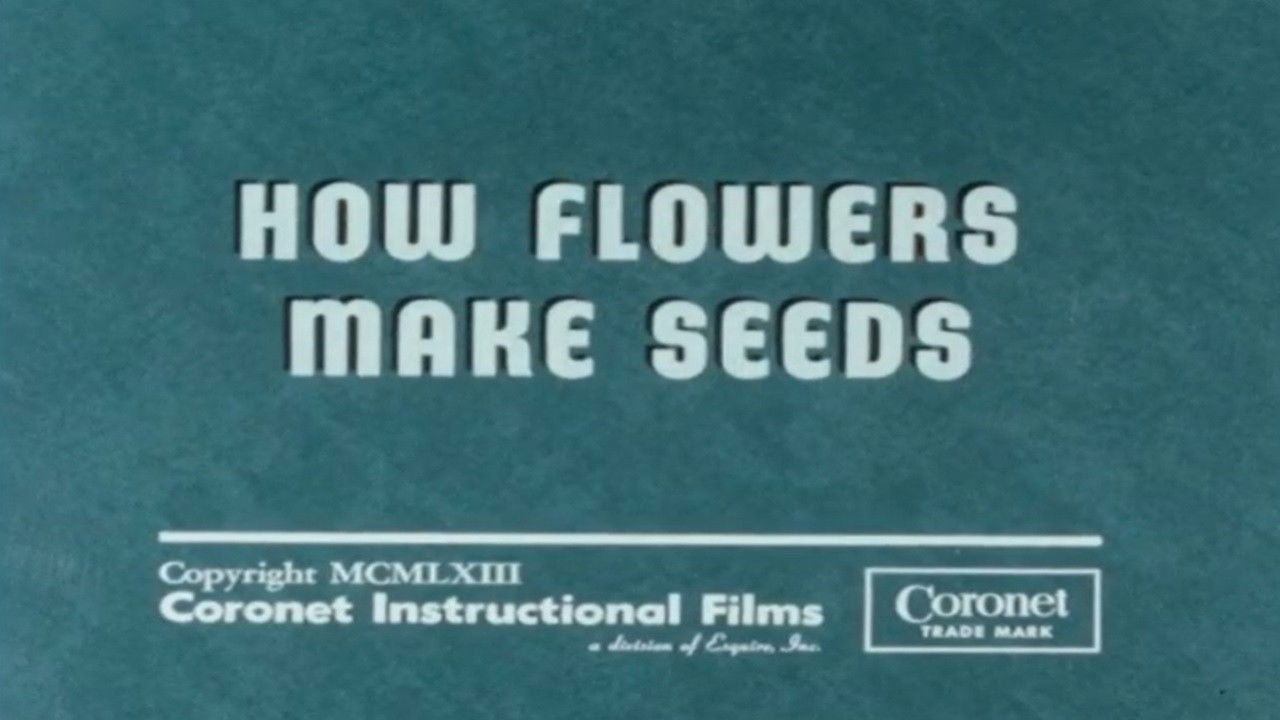 Backdrop for How Flowers Make Seeds