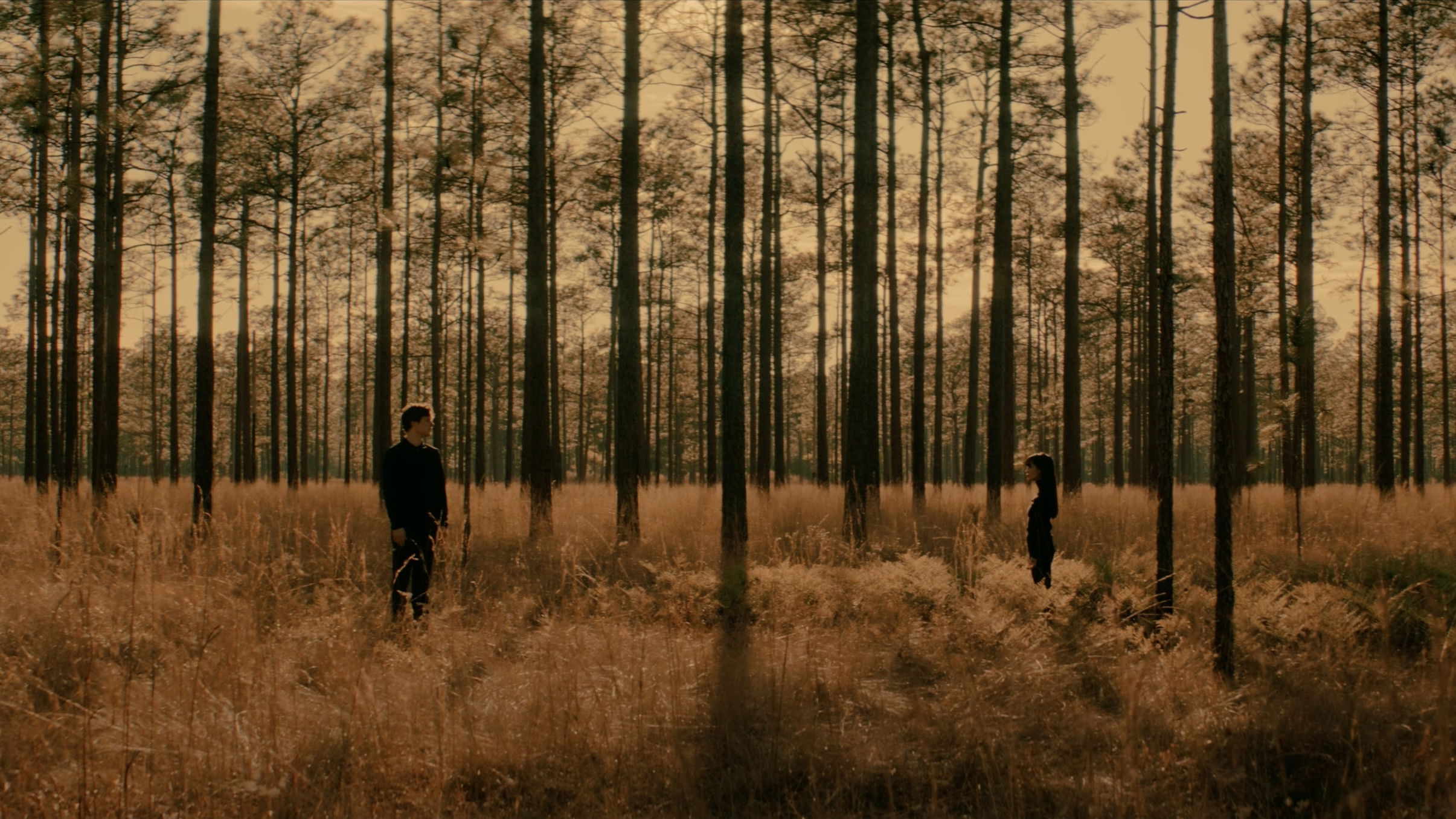 Backdrop for The Space Messenger