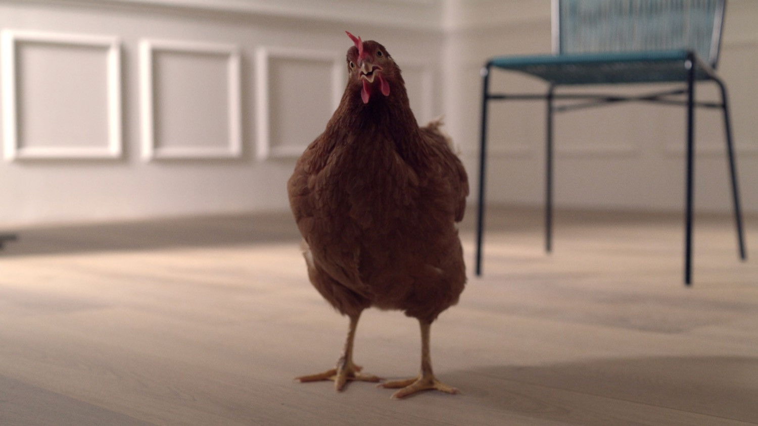 Backdrop for The Eye of the Hen