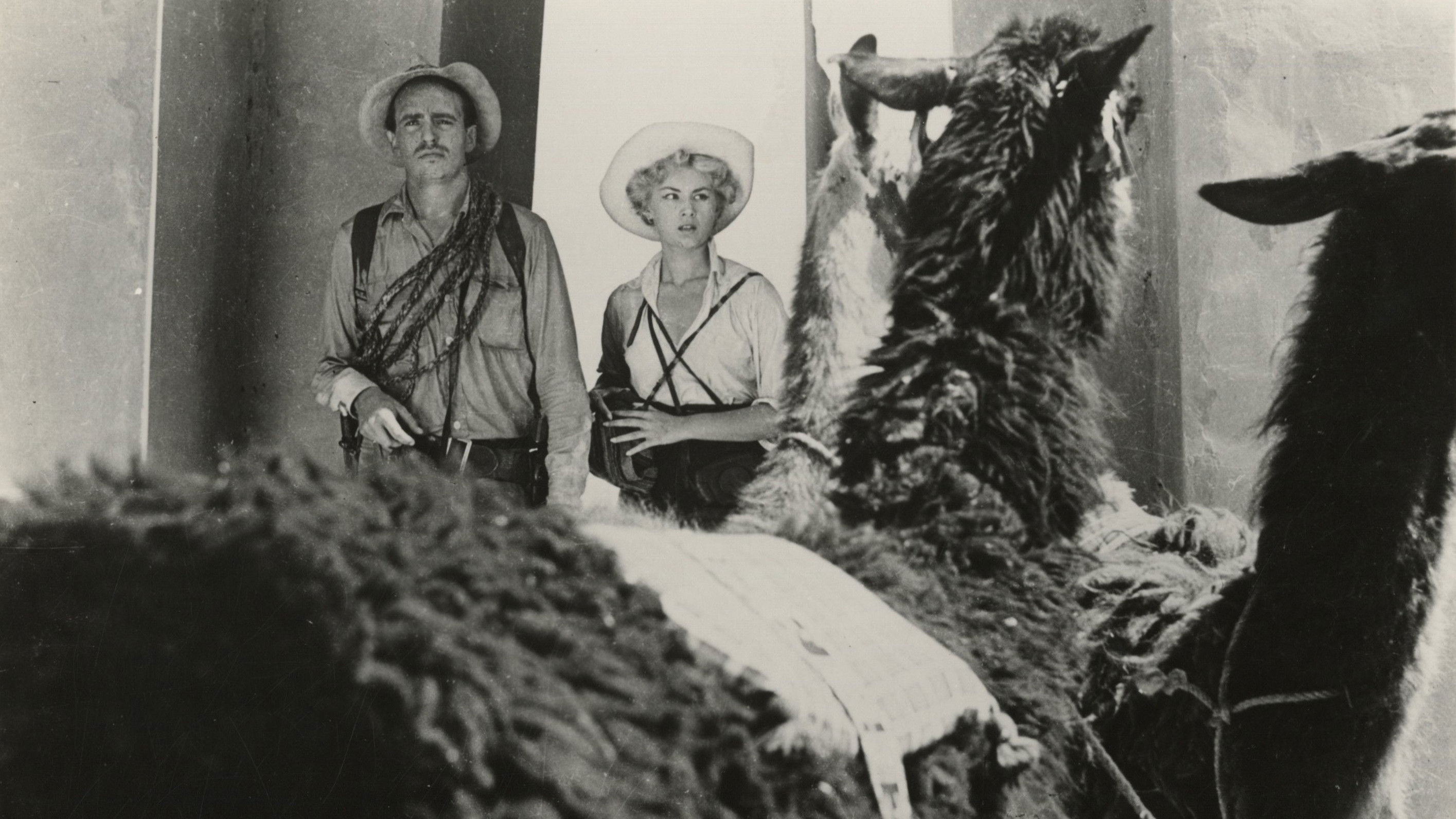 Backdrop for Daughter of the Sun God