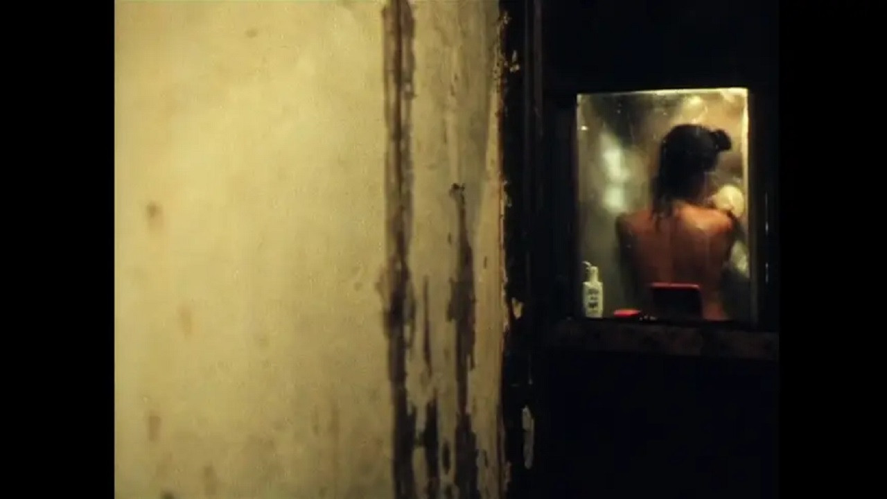 Backdrop for Postman