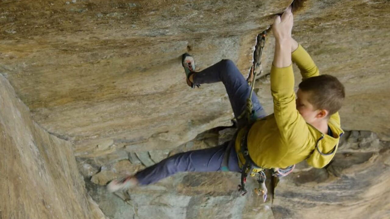 Backdrop for They/Them