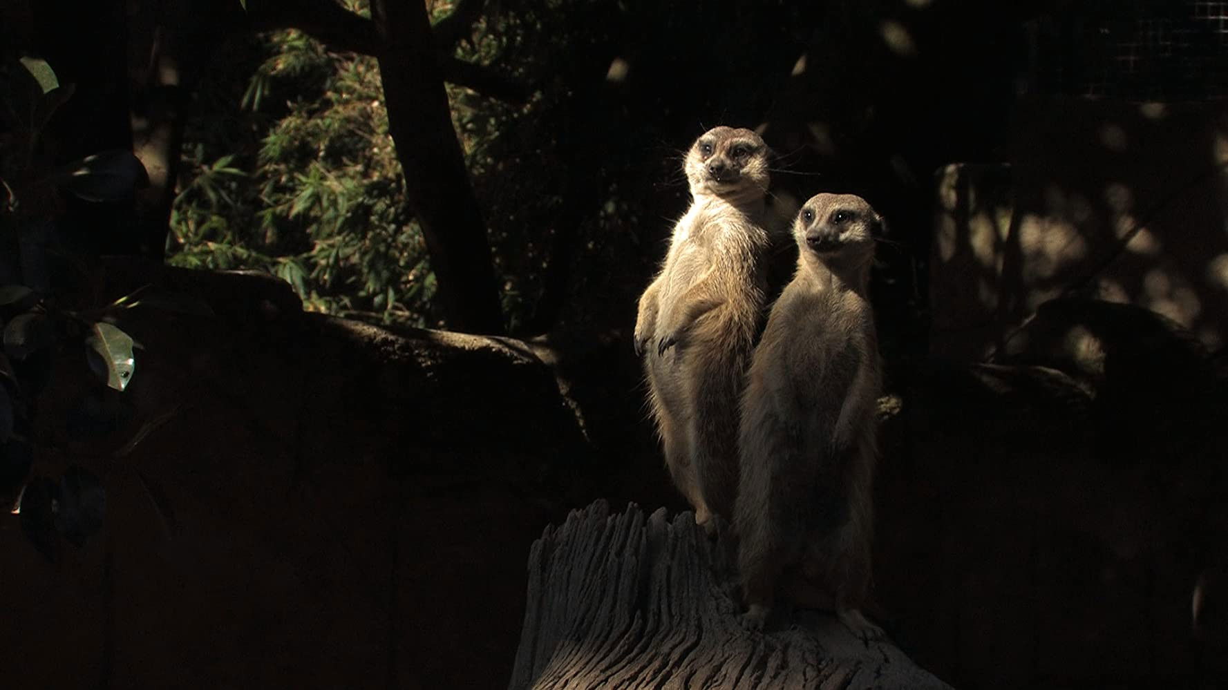 Backdrop for The Room You Take