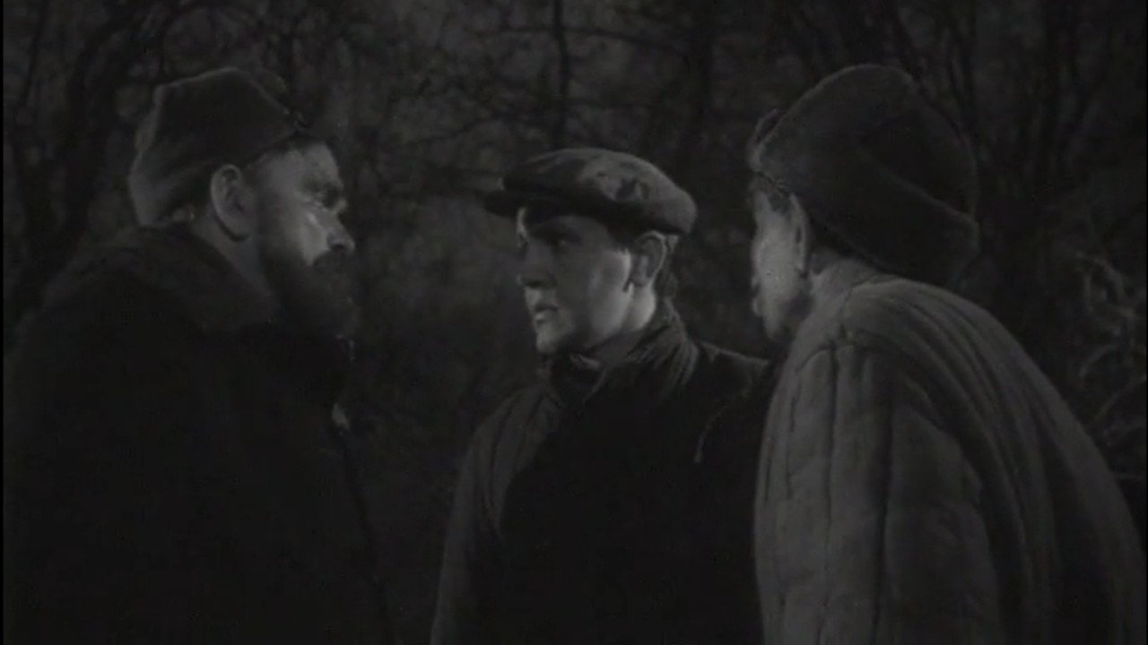 Backdrop for Daughter of Strution