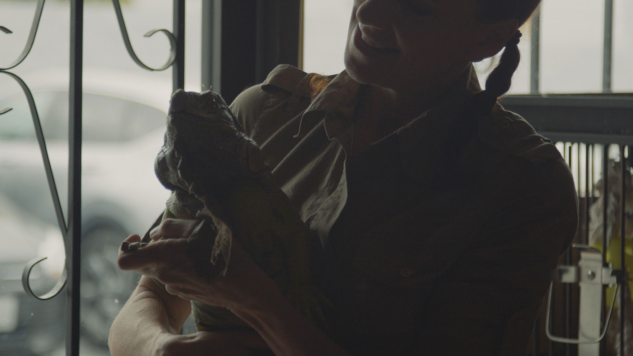 Backdrop for Cool Critter