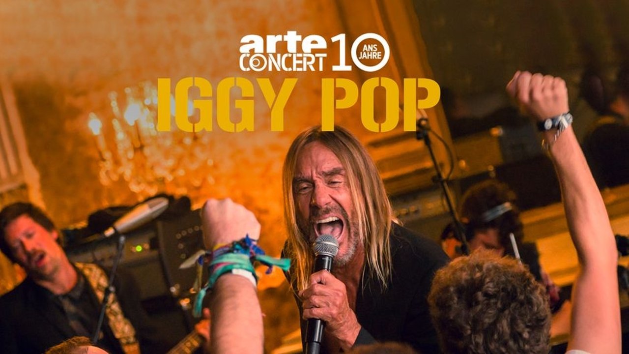 Backdrop for Iggy Pop Live at La Gaîté Lyrique, Paris