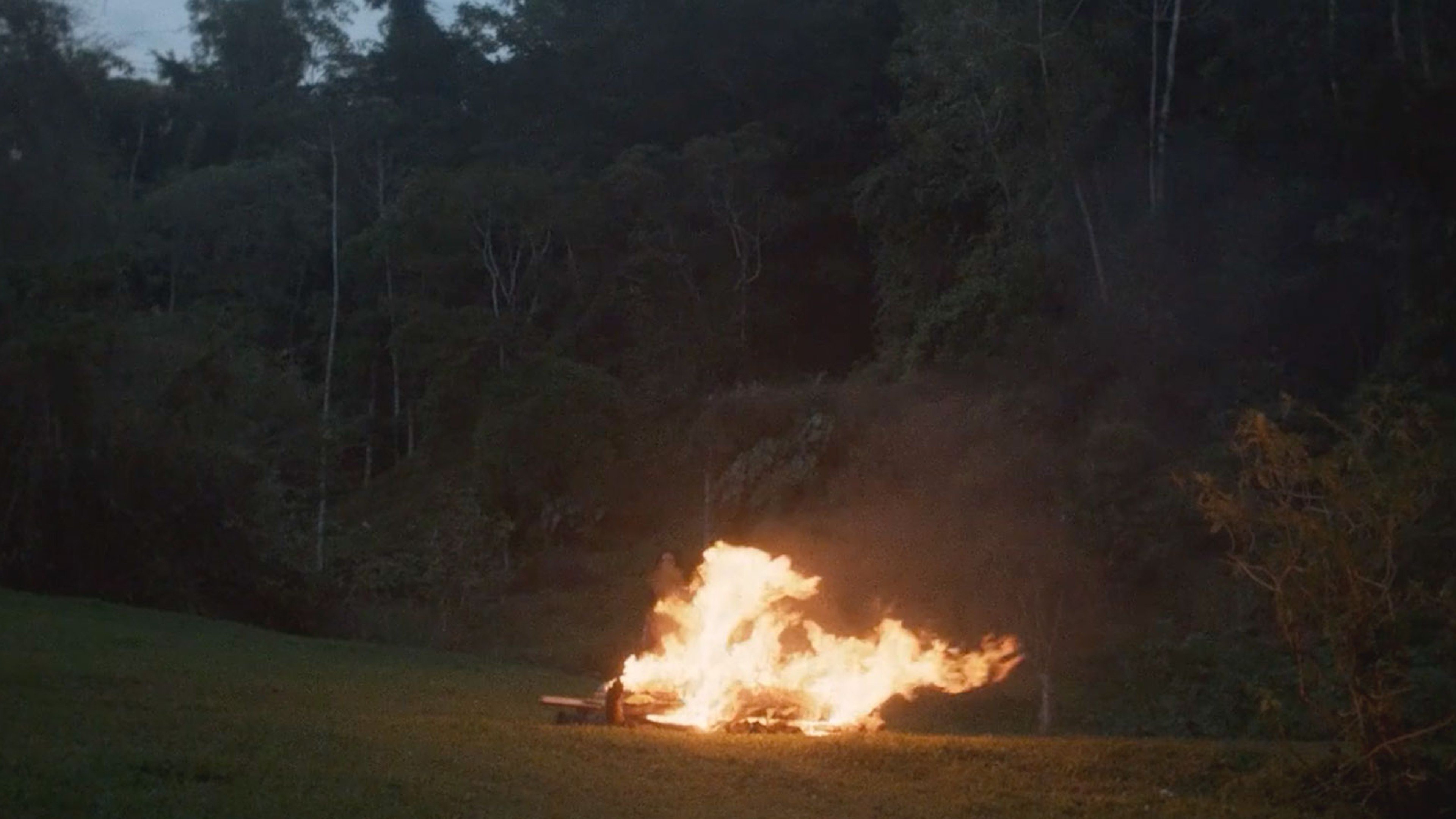 Backdrop for Burn the Dead