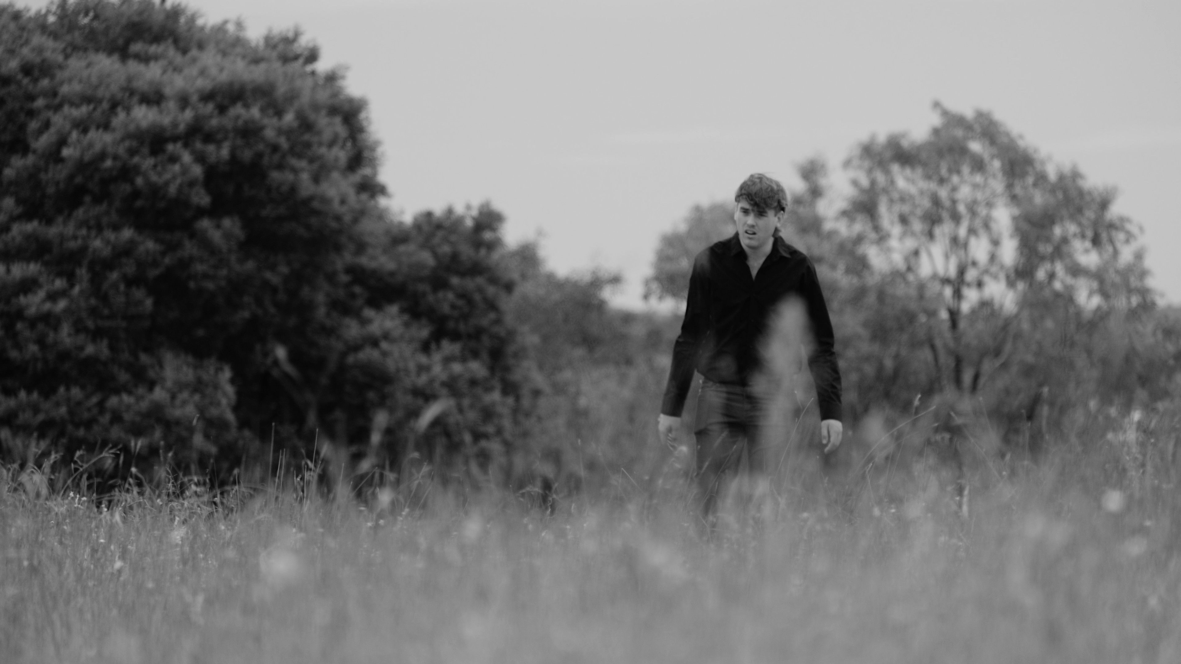 Backdrop for The Coffee Order