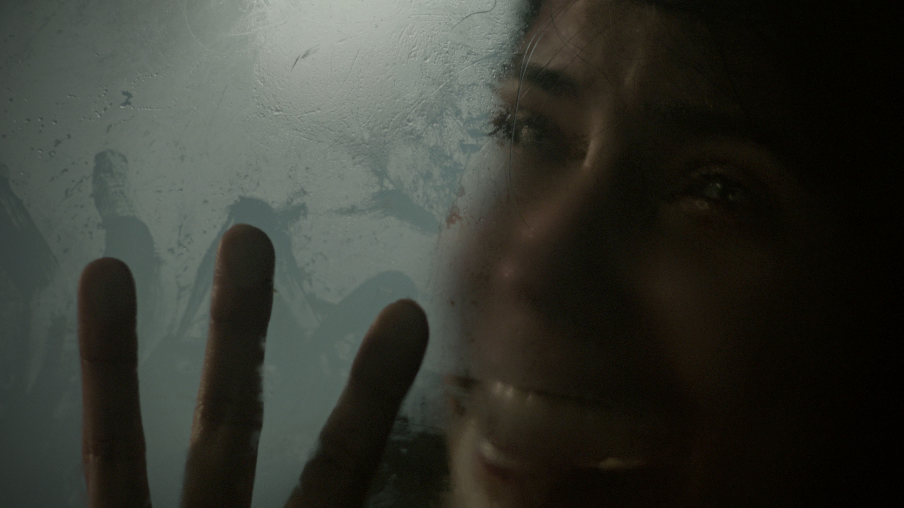 Backdrop for El cuidador del bosque