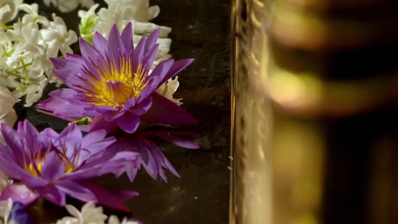 Backdrop for Seven Wonders of the Buddhist World