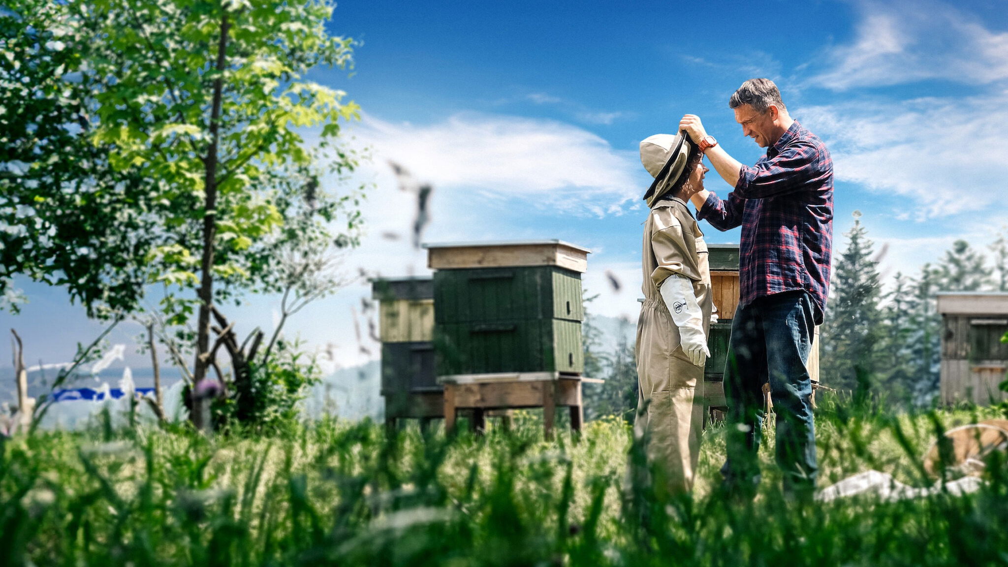 Backdrop for Love Like Honey