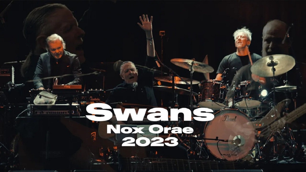 Backdrop for Swans: Nox Orae 2023