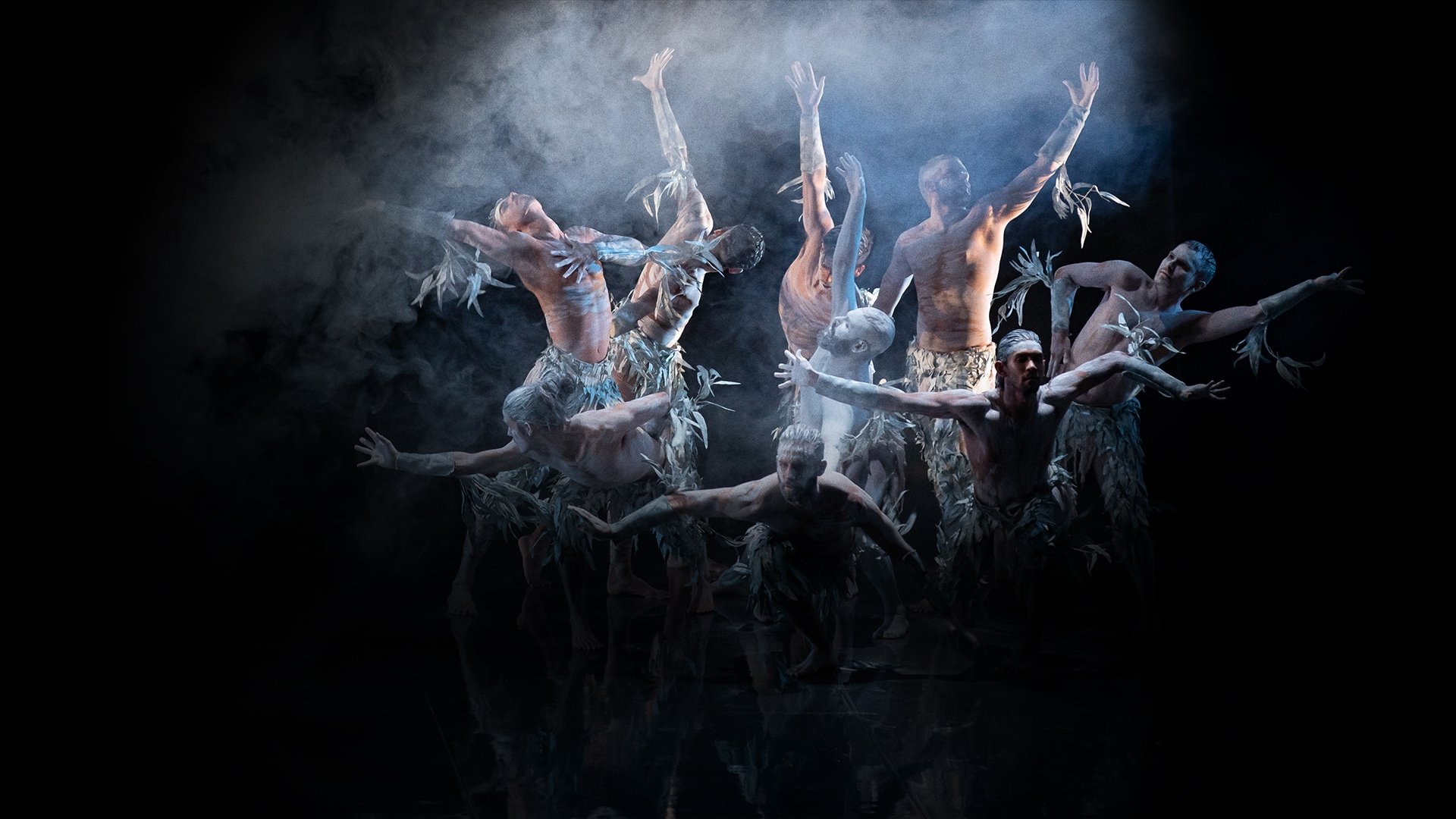 Backdrop for Firestarter: The Story of Bangarra