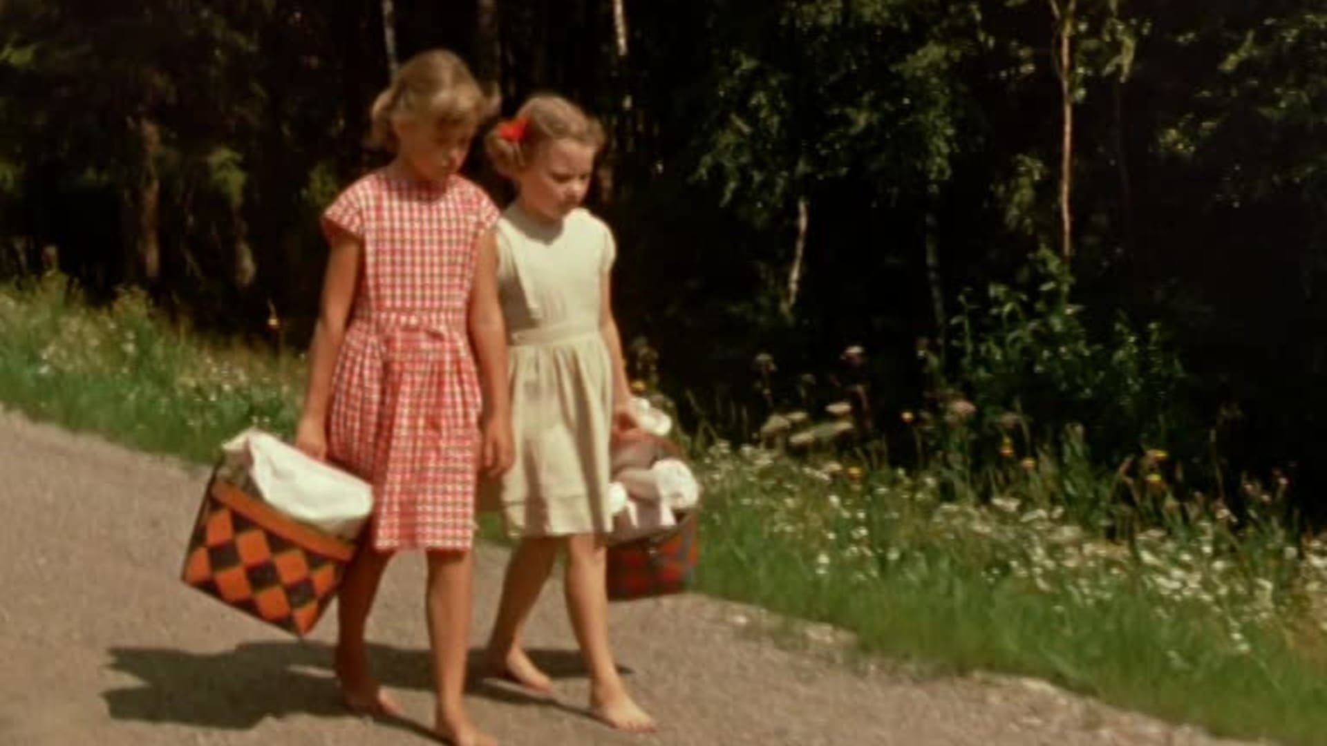 Backdrop for Only Fun in Bullerby Village