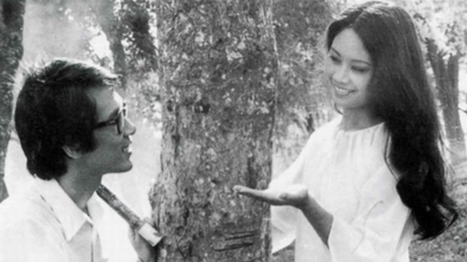 Backdrop for The Town Within Reach