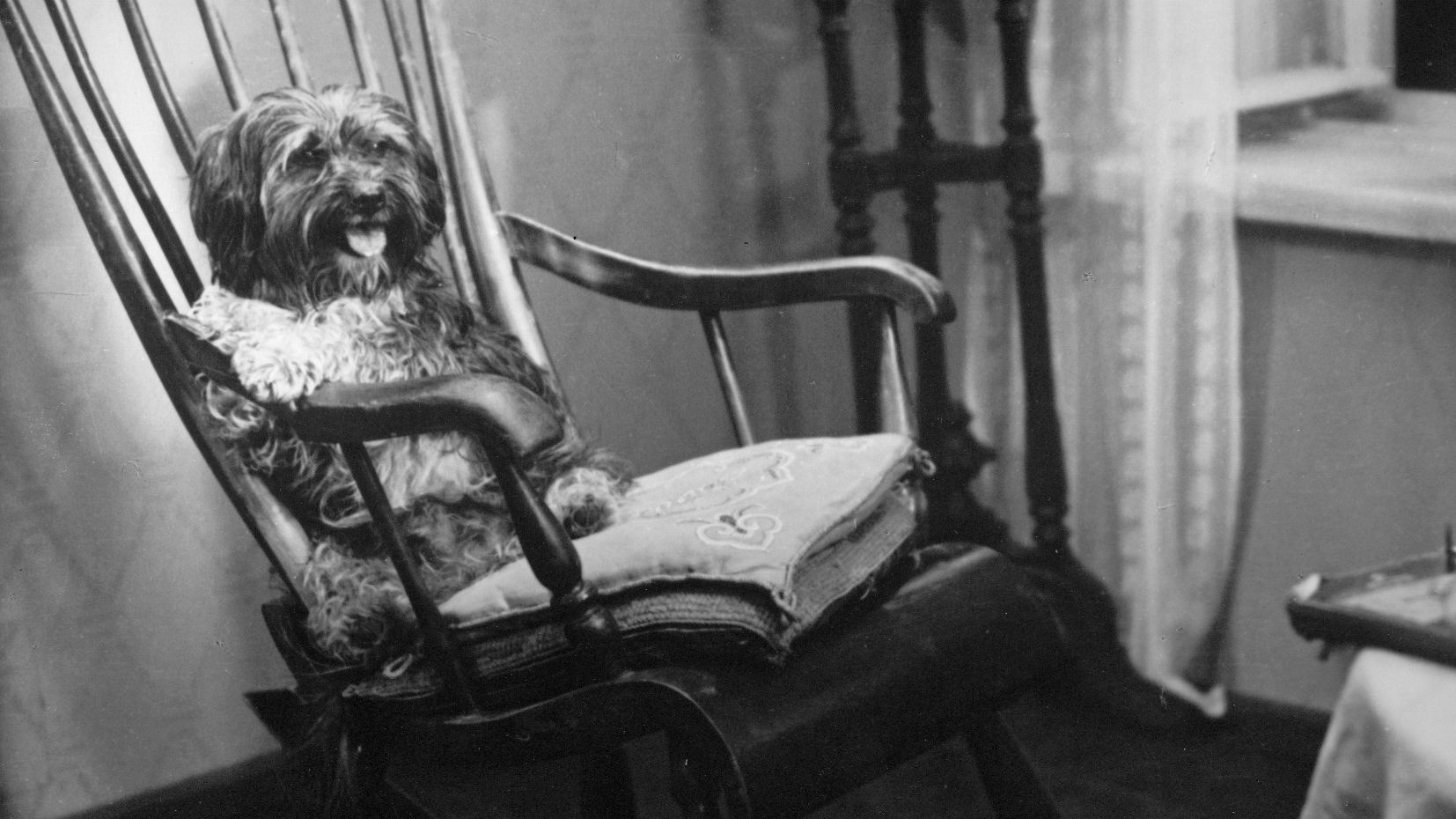 Backdrop for Barbos Visiting Bobik