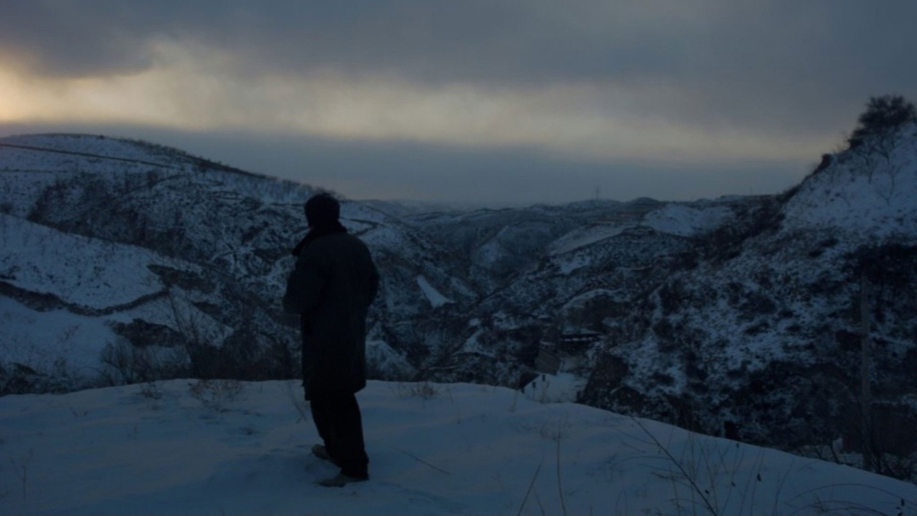 Backdrop for Three Castrated Goats