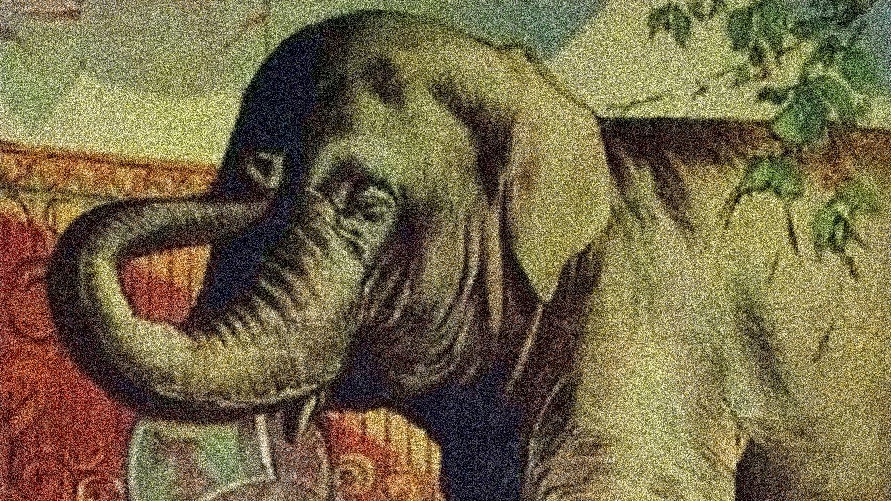 Backdrop for Remember When?