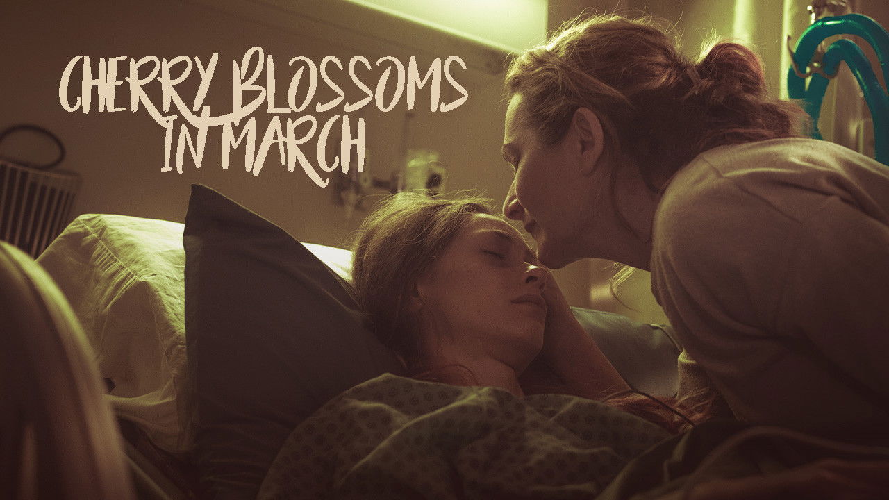 Backdrop for Cherry Blossoms in March