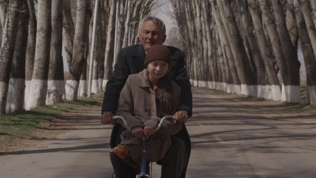 Backdrop for The Seagull