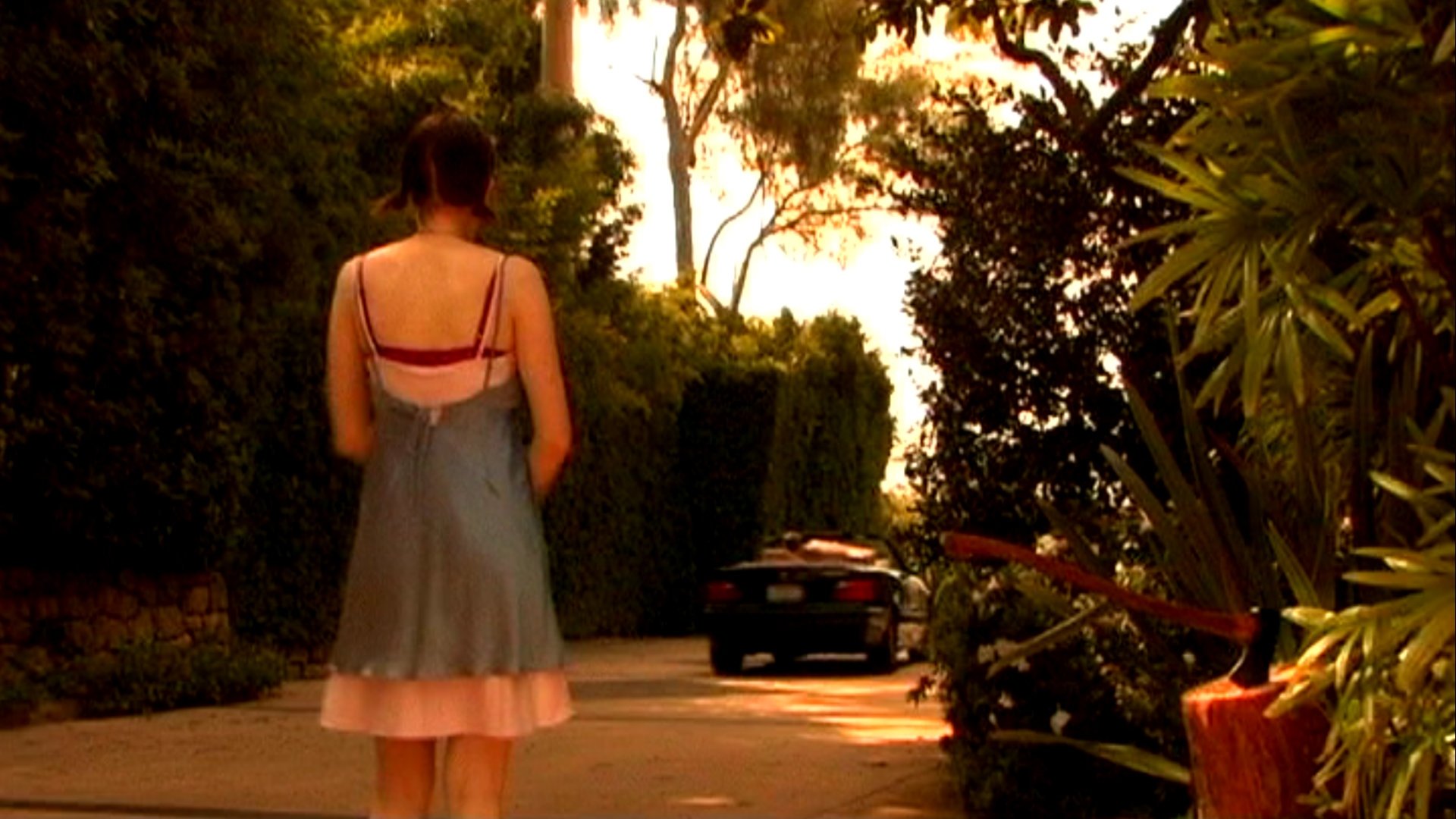 Backdrop for The Son of Sam's Daughter