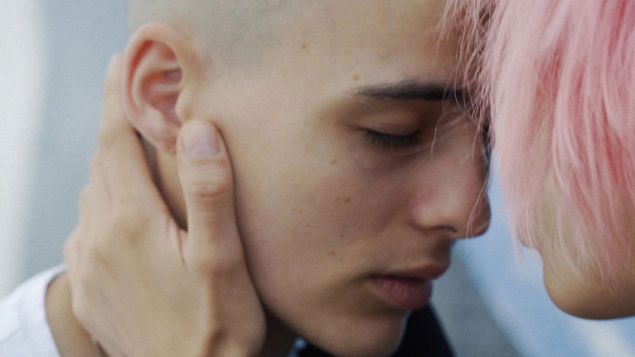 Backdrop for Beware of Dog