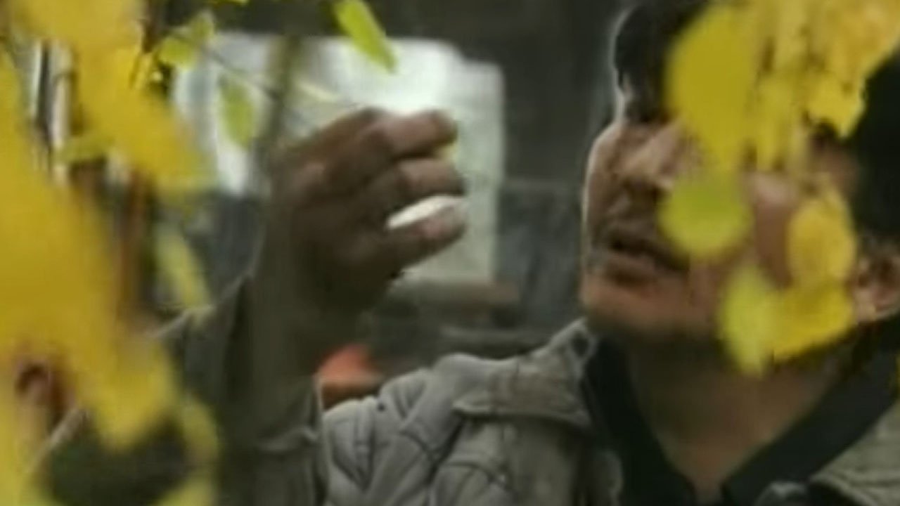 Backdrop for The Thread of Dreams