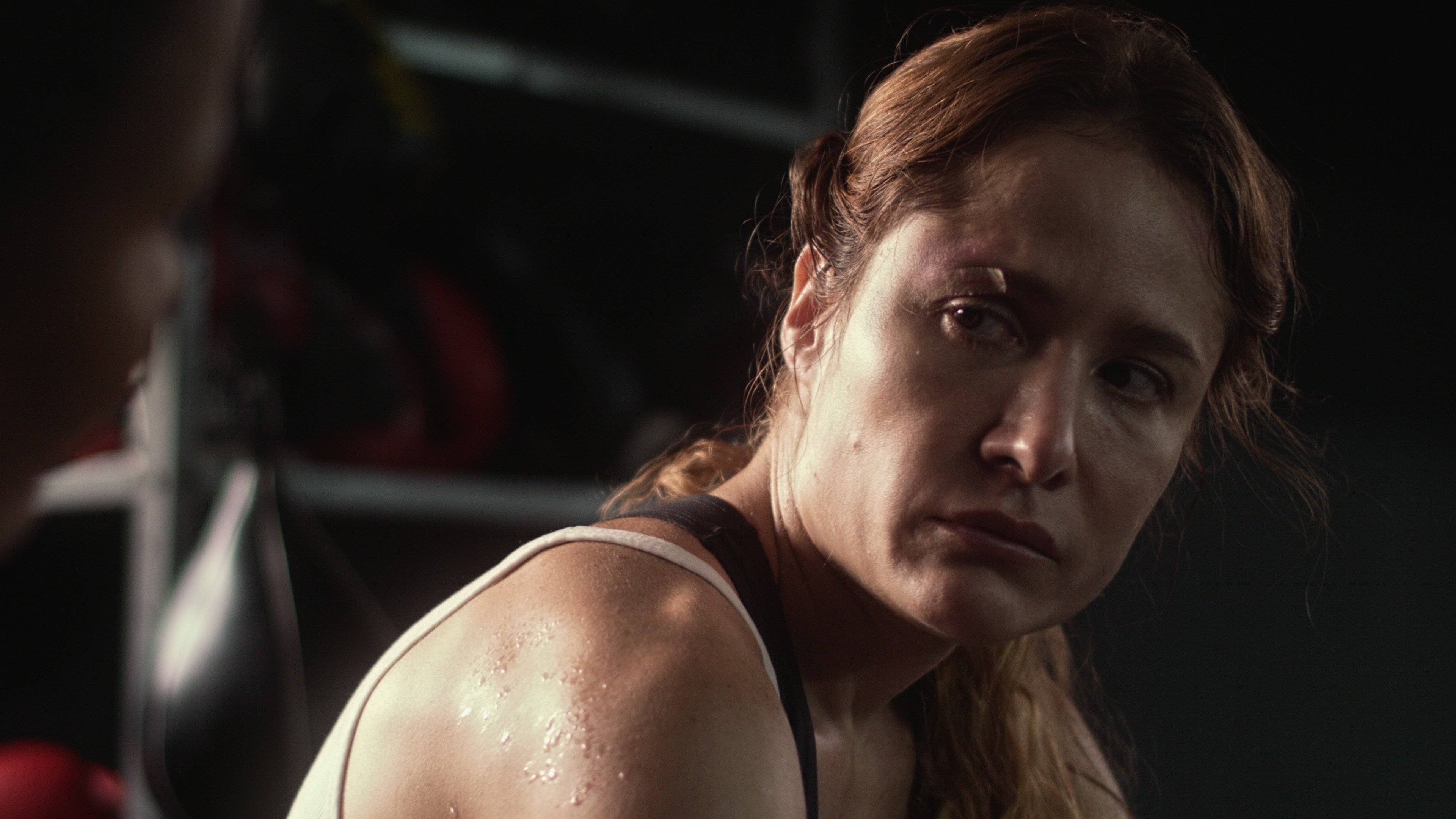 Backdrop for The Big Fight