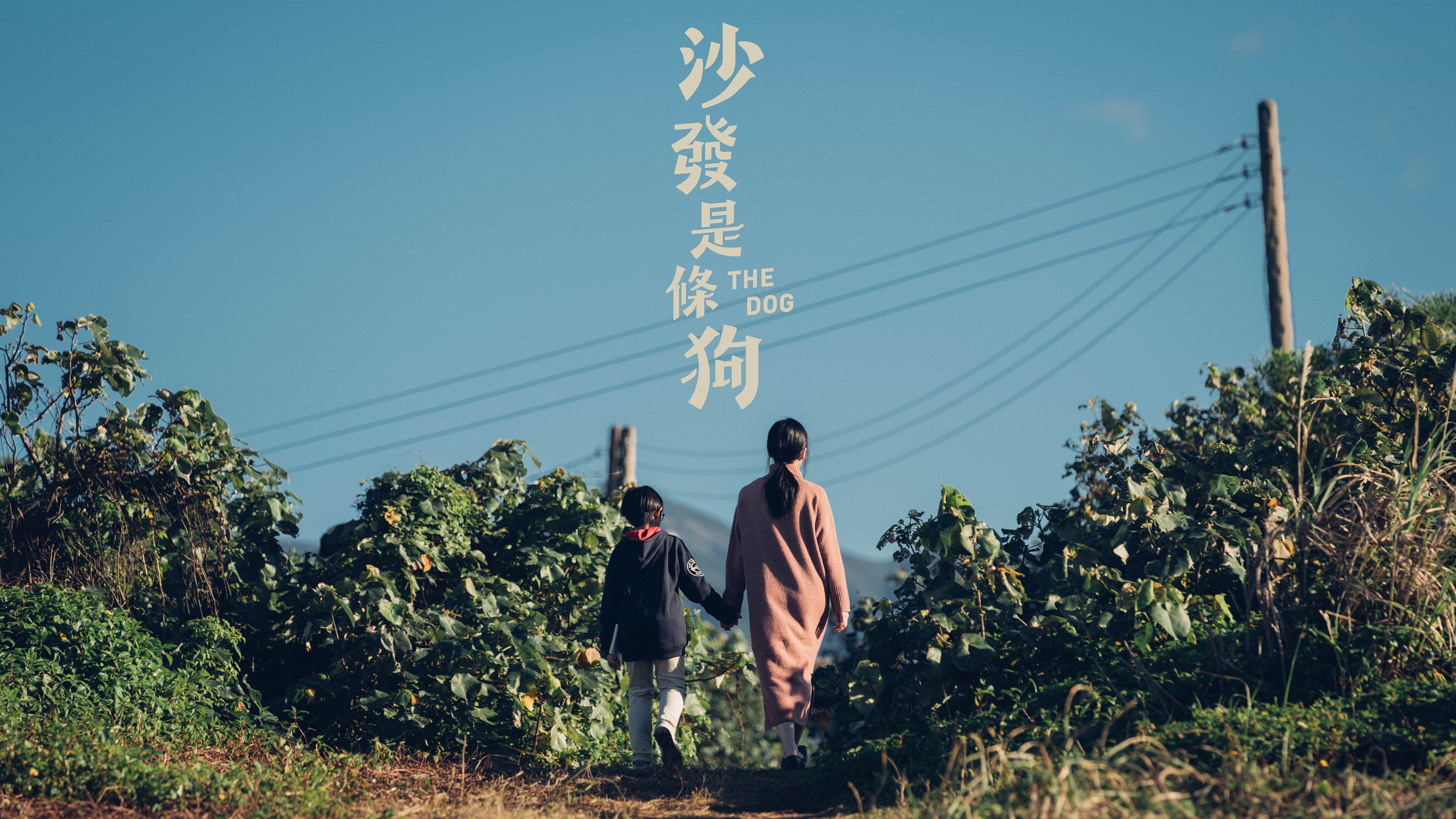 Backdrop for The Dog