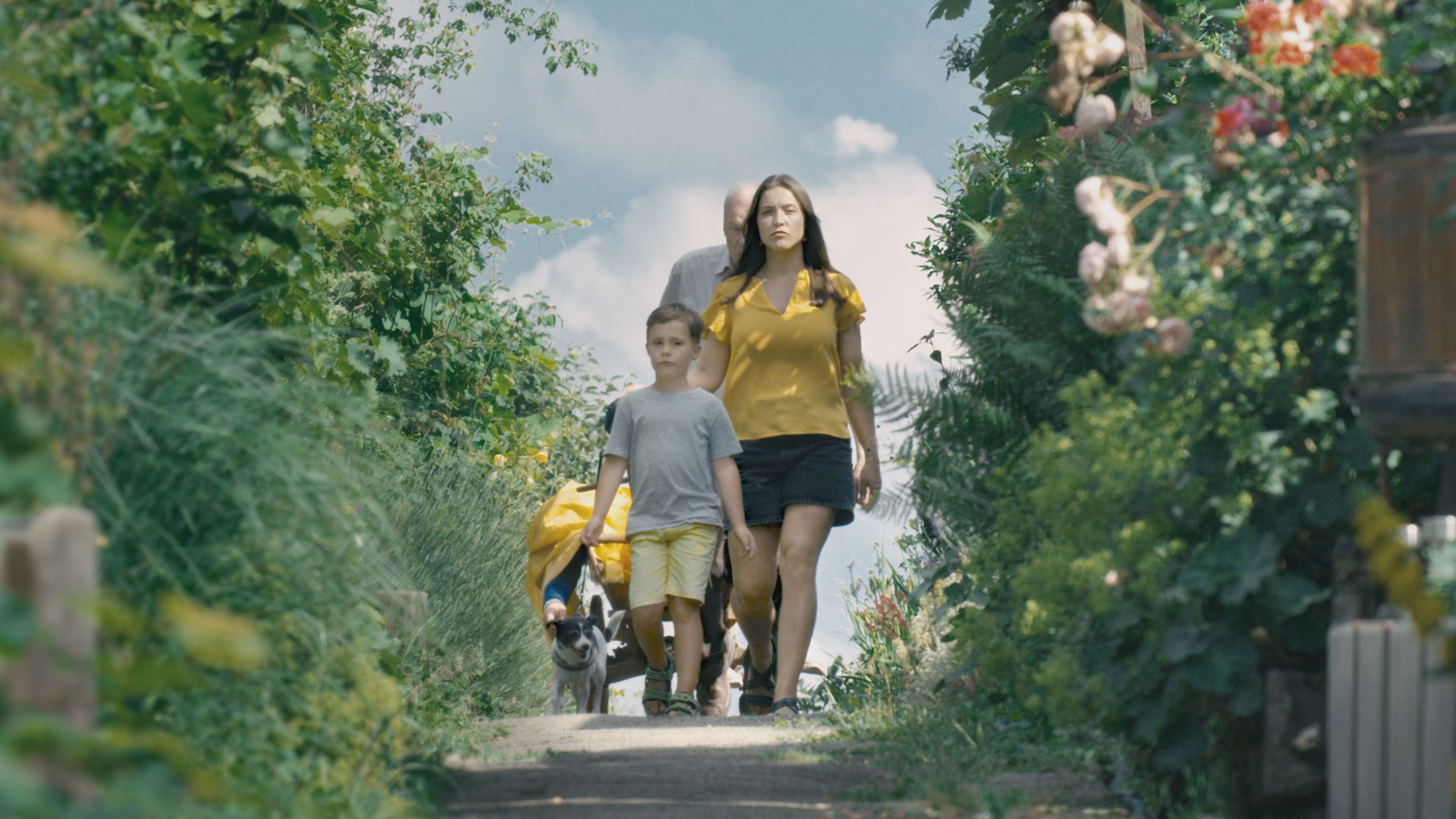 Backdrop for Garden Plot