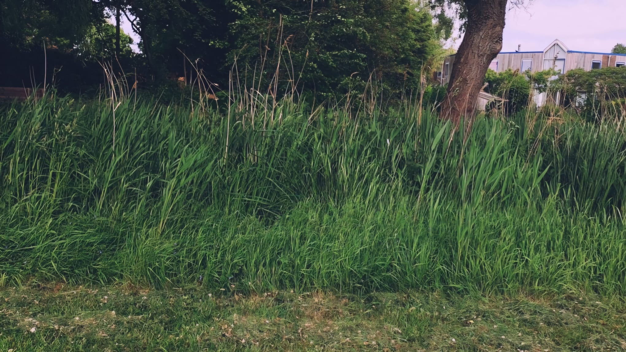 Backdrop for een kleine film over toxic comic nerds