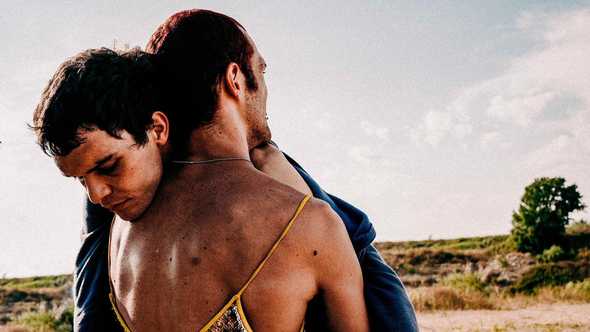 Backdrop for Patagonia