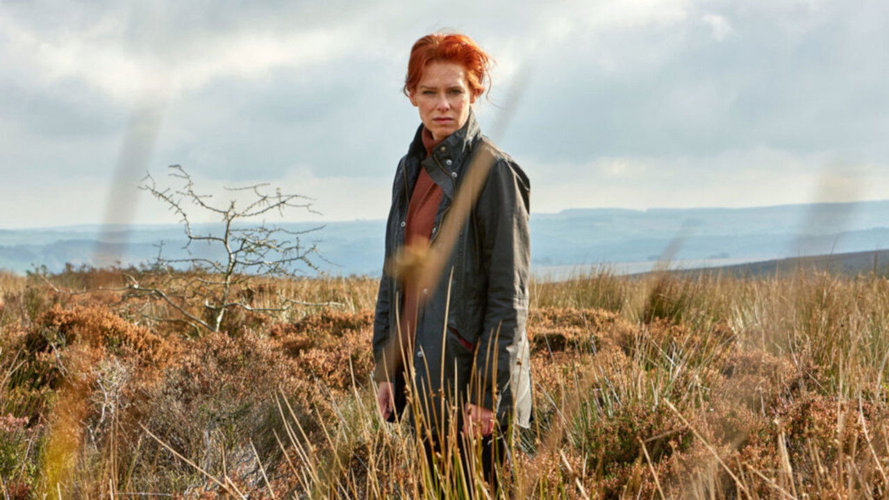 Backdrop for Charlotte Link - Die Suche