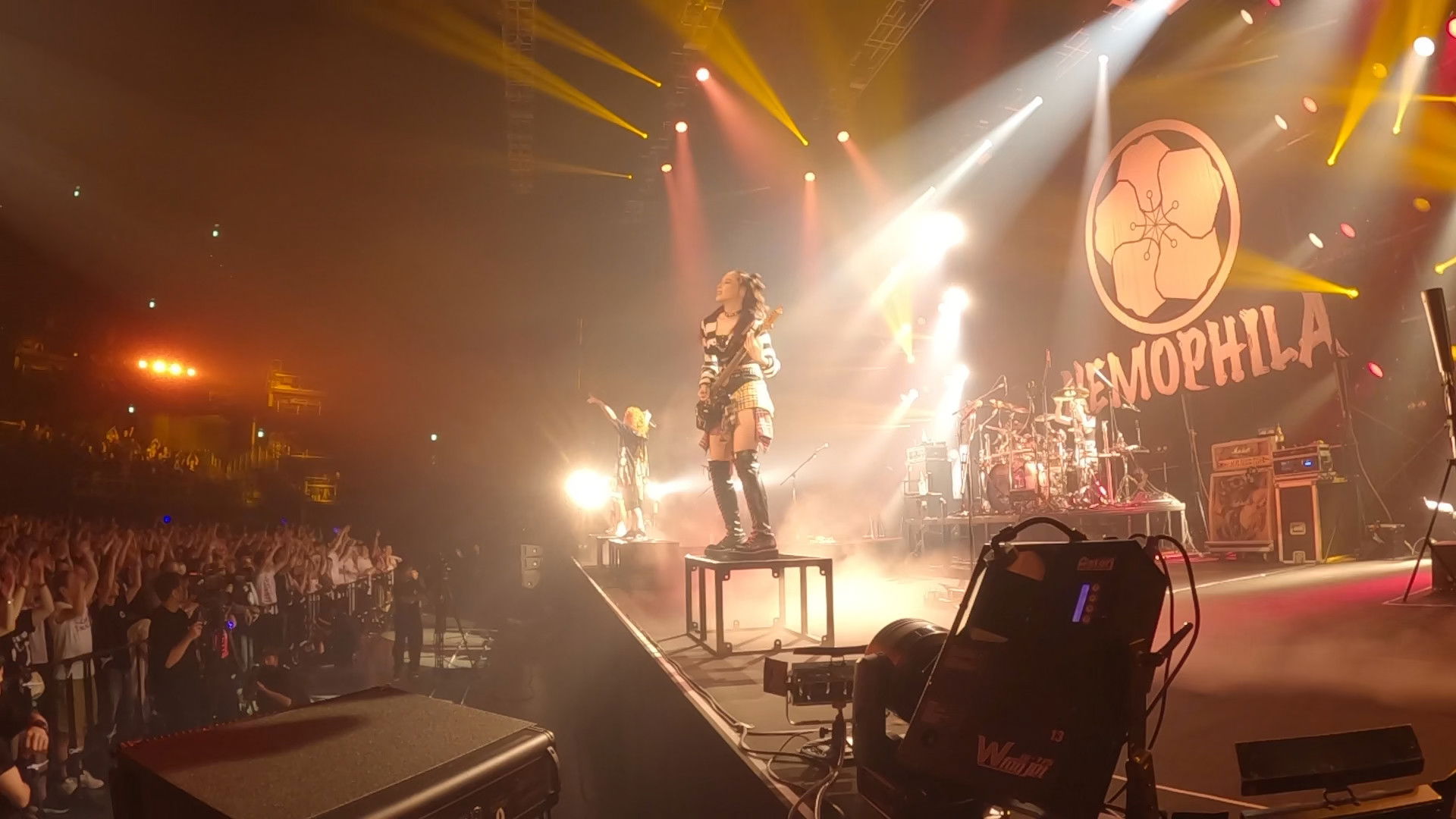 Backdrop for NEMOPHILA 4th Anniversary -Rizing NEMO- TOKYO GARDEN THEATER