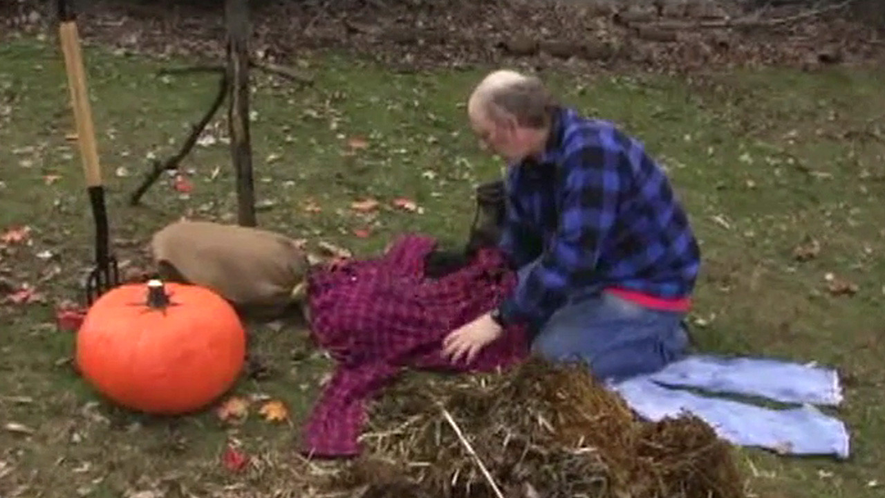 Backdrop for HalloweeNight