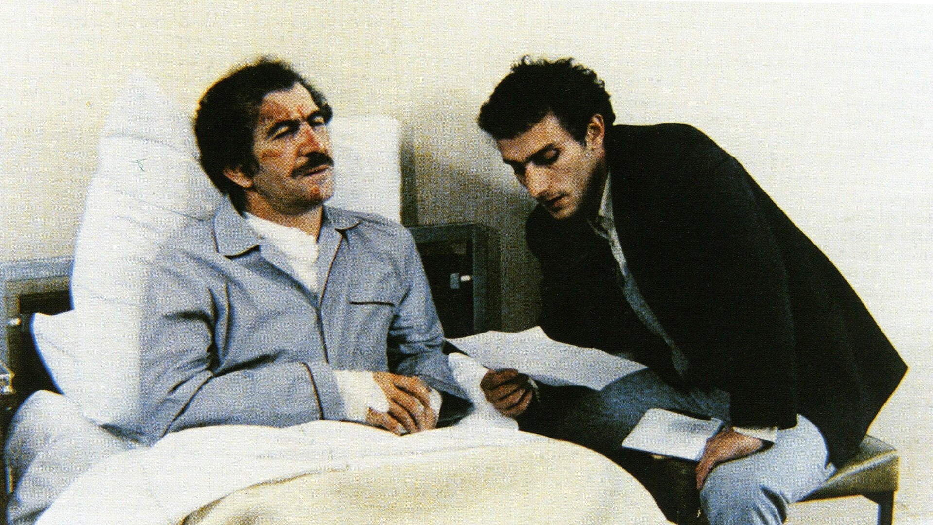 Backdrop for The Photograph