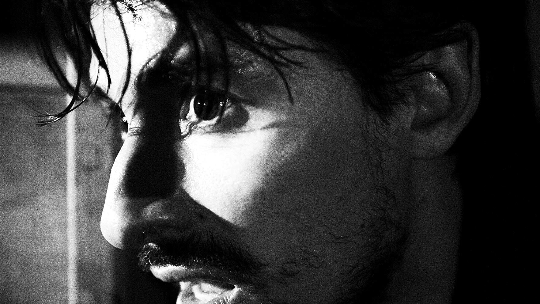 Backdrop for Lamb's Damnation