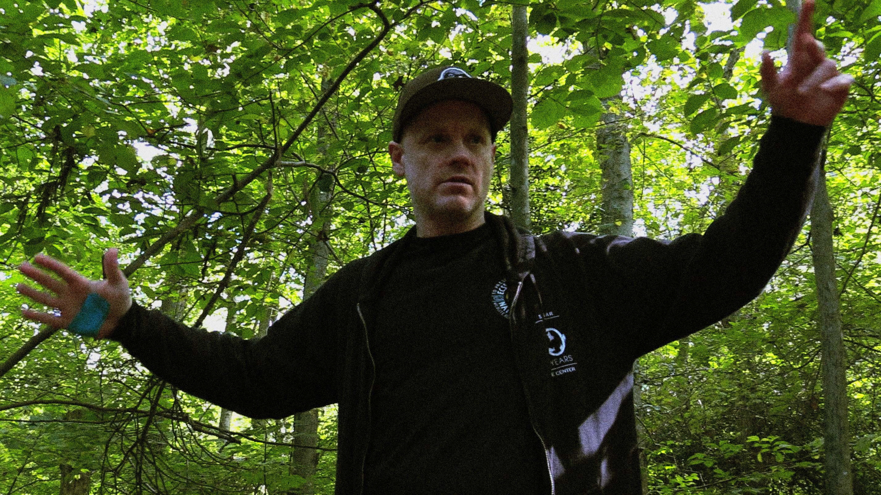 Backdrop for Hodgepodge