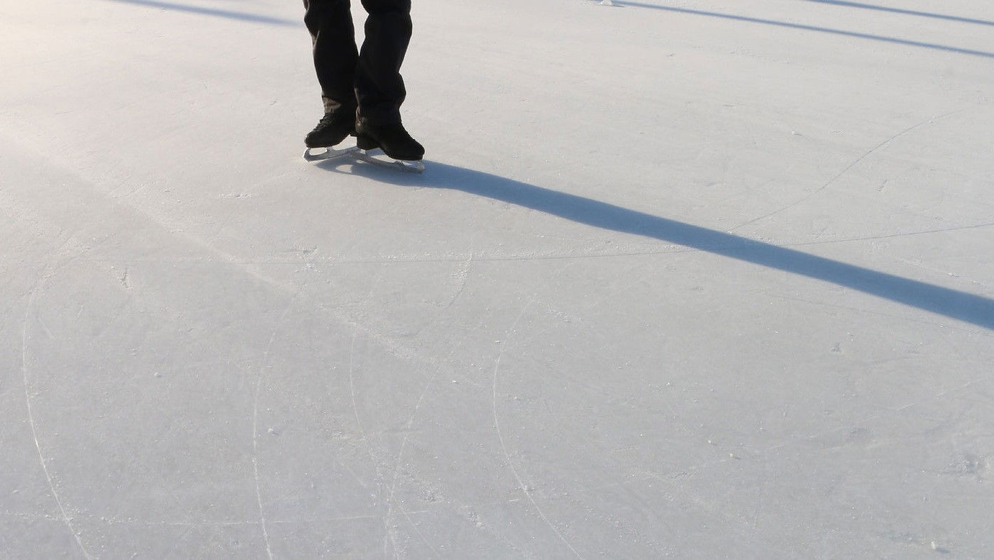 Backdrop for Go Figure