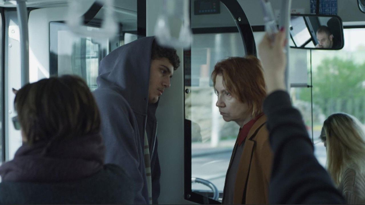 Backdrop for Cold Frost & Sunshine