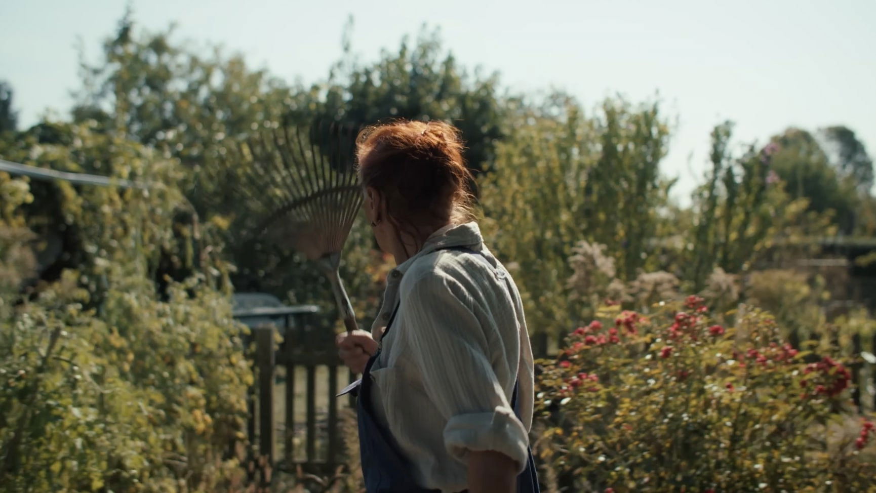 Backdrop for Lantana