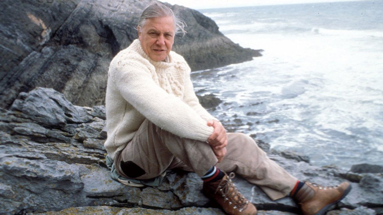 Backdrop for The Trials of Life