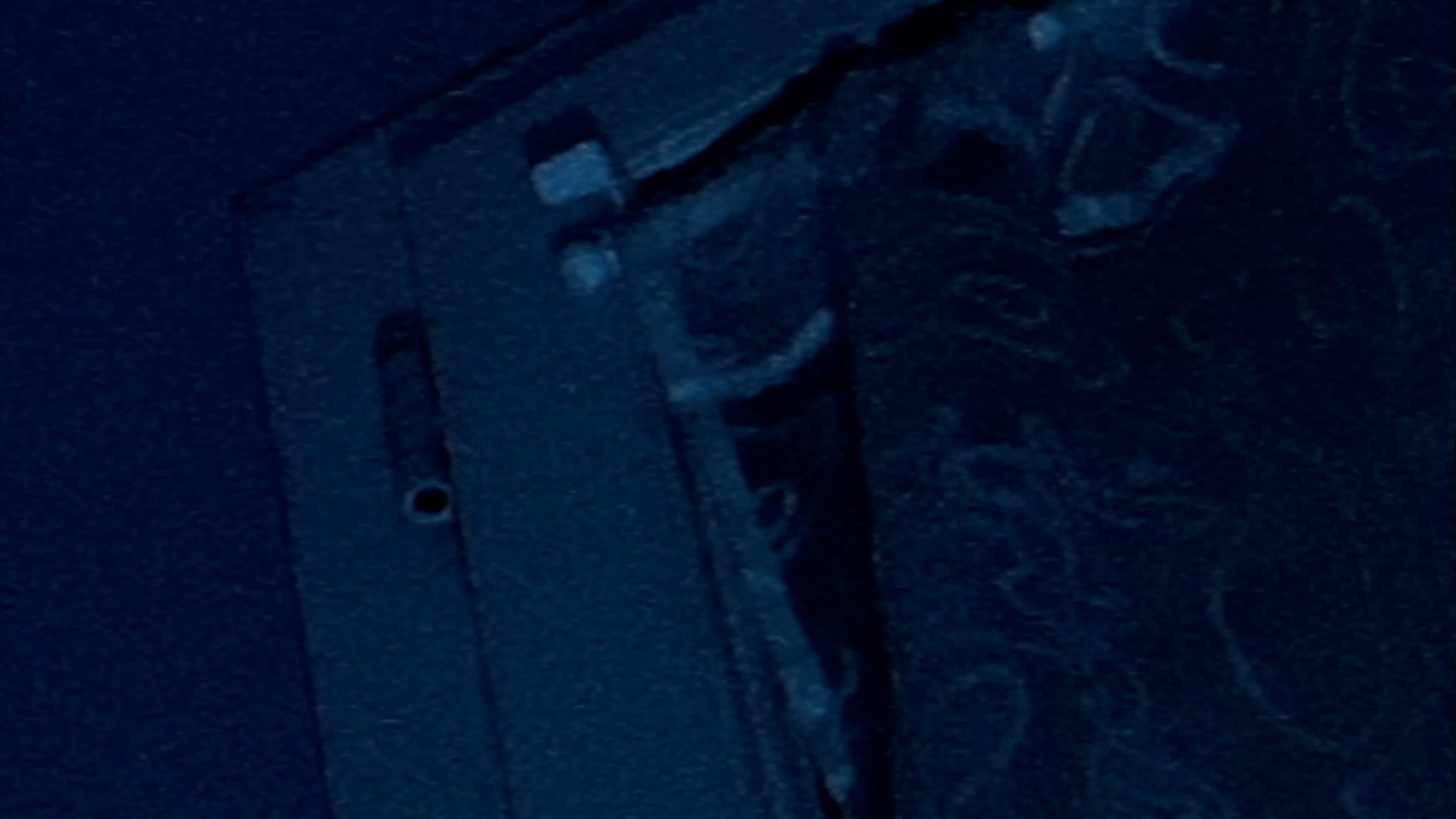 Backdrop for Beware of watch dog !