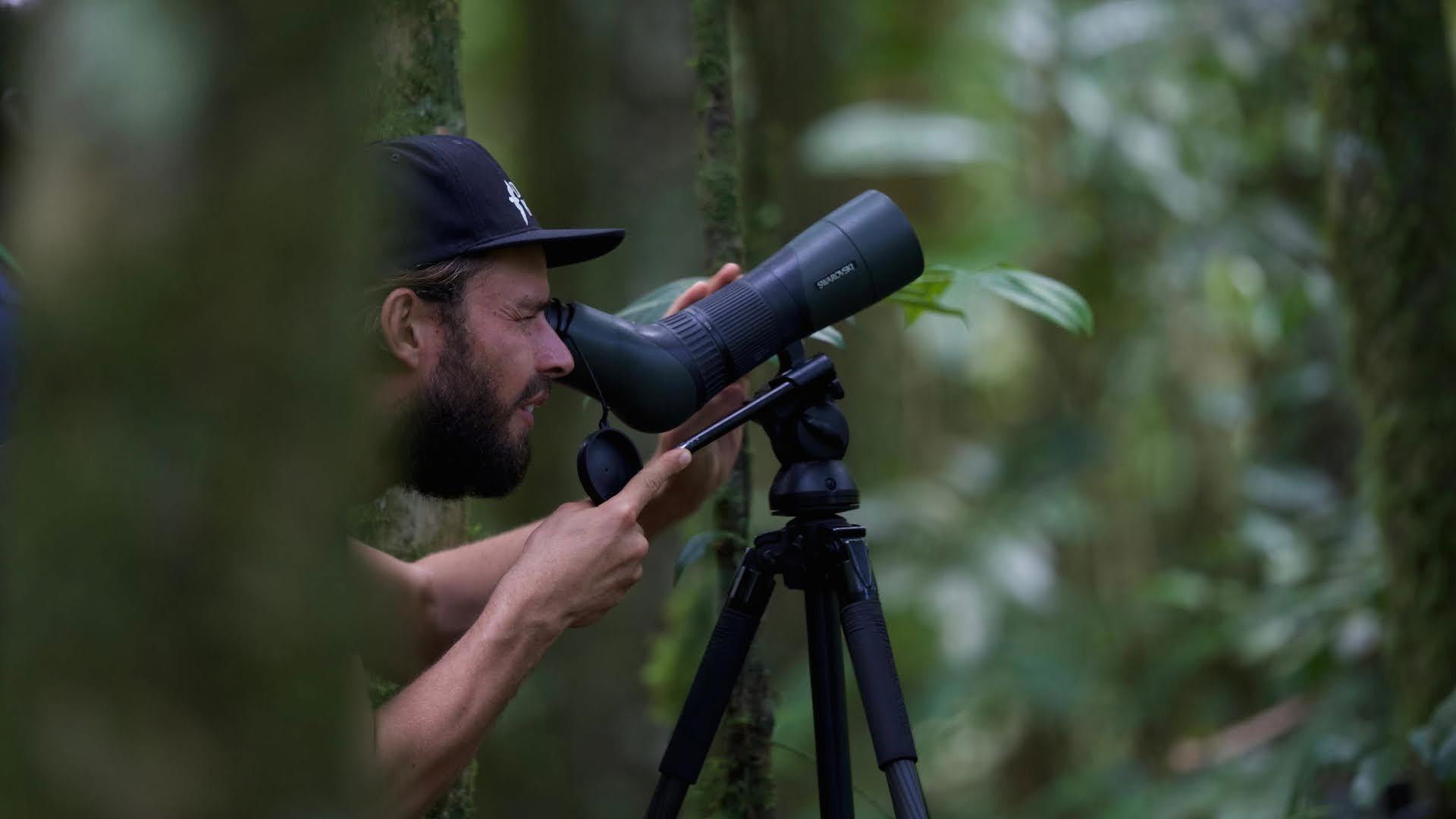 Backdrop for Arjan's Big Year